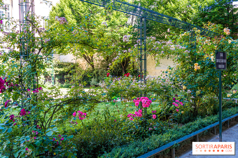 Photos : Square Saint-Gilles Grand-Veneur Pauline-Roland