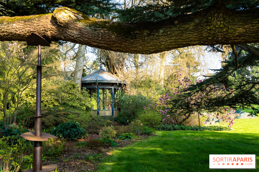 Arboretum de la Vallée-aux-Loups, une balade au milieu des arbres remarquables - A7C09402