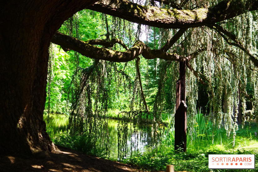 Arboretum de la Vallée-aux-Loups, une balade au milieu des arbres remarquables