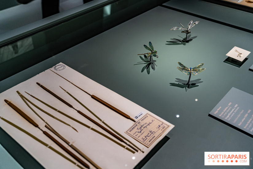 Exposition Végétal  by Chaumet aux Beaux Arts de Paris