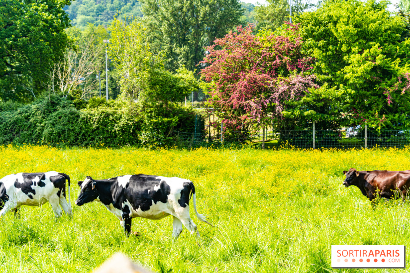 La promenade des petits ponts dans la vallée de Chevreuse