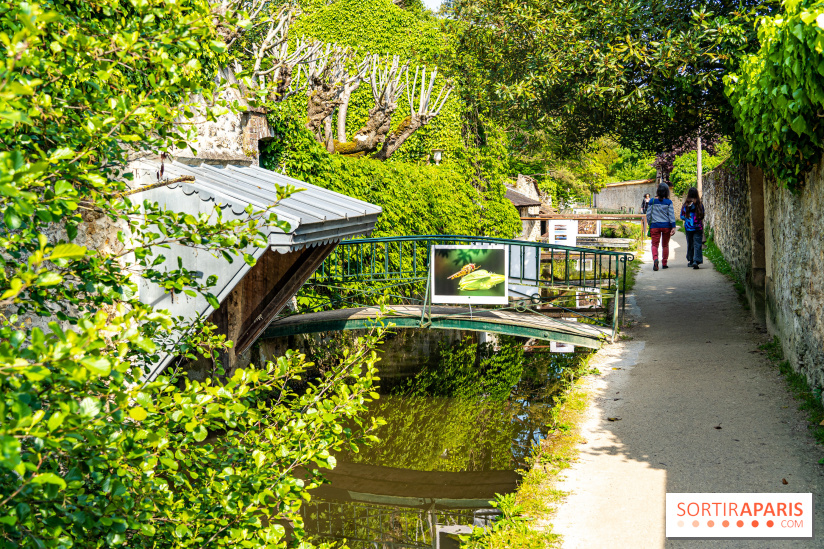 La promenade des petits ponts dans la vallée de Chevreuse