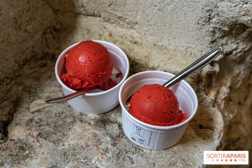 Les glaces de Jacques Génin à Paris