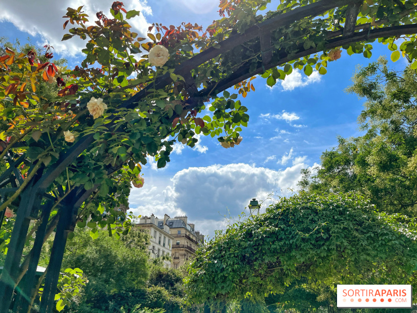 Balade sur la Petite Ceinture du 17e : la promenade Pereire