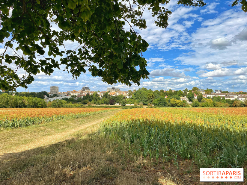 Houdan, ville médiévale et balade historique dans les Yvelines