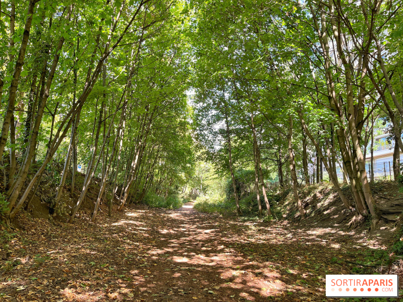Balade sur la Petite Ceinture du 14 au 16e arrondissement : un sentier nature dépaysant