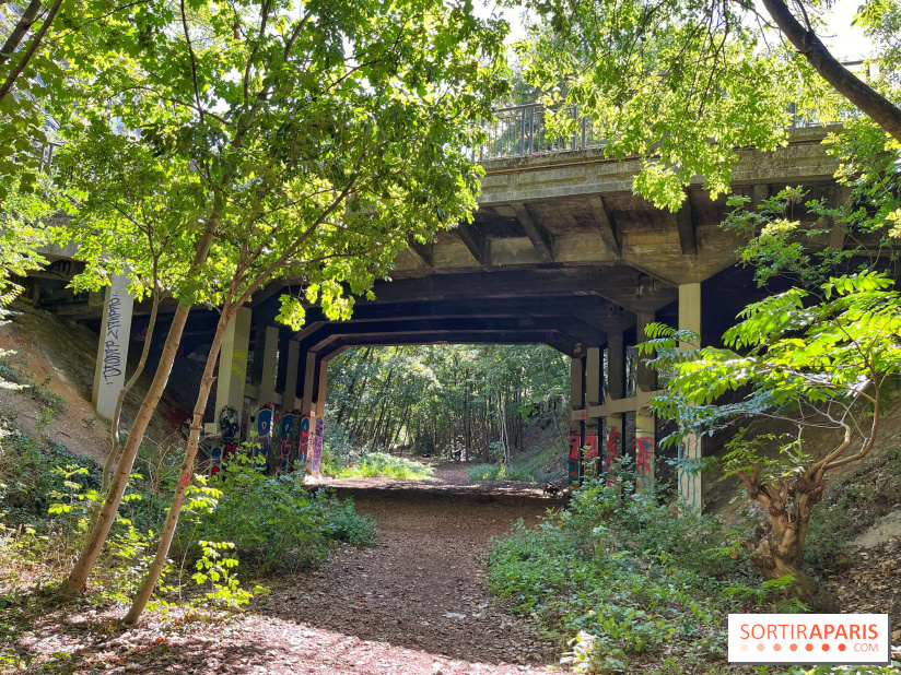 Balade sur la Petite Ceinture du 14 au 16e arrondissement : un sentier nature dépaysant