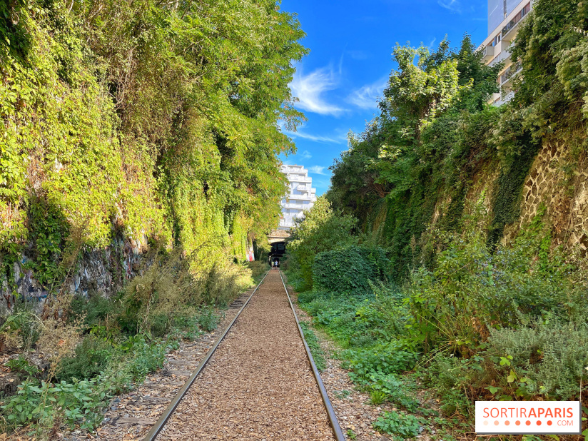 Balade sur la Petite Ceinture du 14 au 16e arrondissement : un sentier nature dépaysant