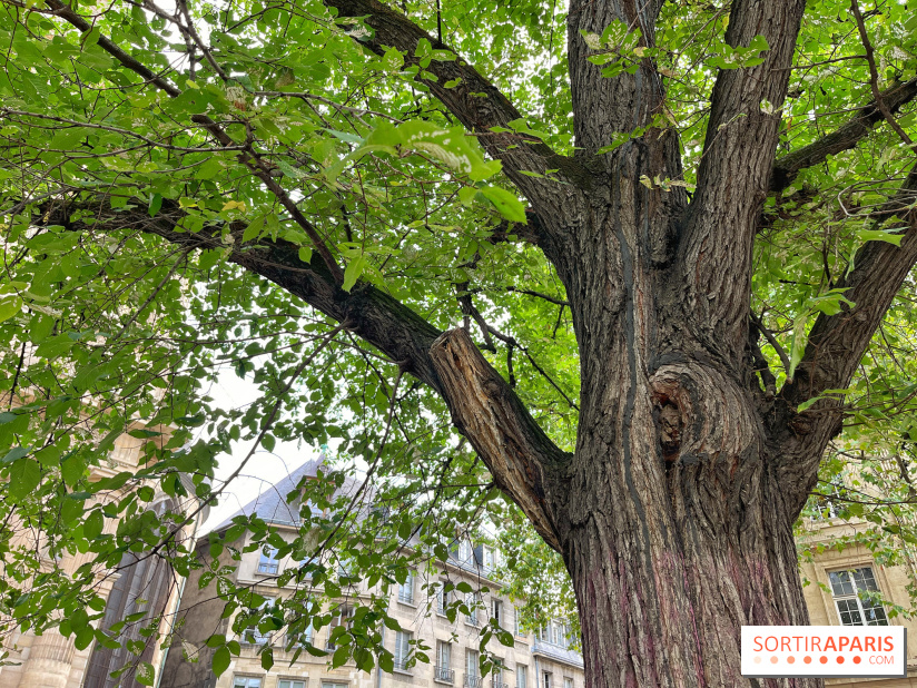 6 anecdotes ésotériques et mystérieuses autour de monuments parisiens