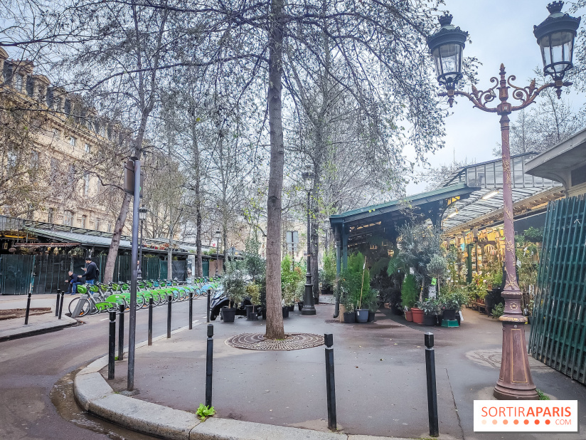 Visuels Paris - marché aux fleurs Elisabeth II