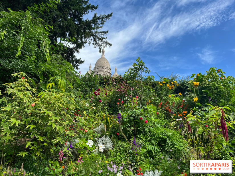 Visuels Paris - montmartre sacré cœur