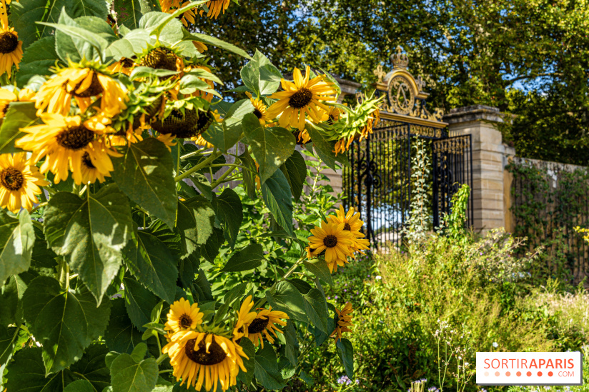 Le Potager du Roi de Versailles, Journées du Patrimoine