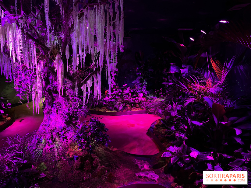 Forêt Bioluminescente - Serre Papillons