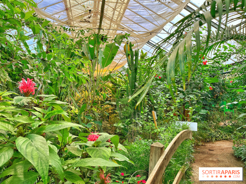 Serre Papillons - La Queue-lez-Yvelines