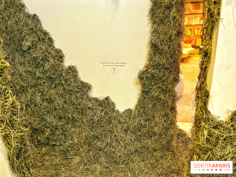 Le Chant des Forêts, l'exposition sensible et gratuite du Maif Social Club