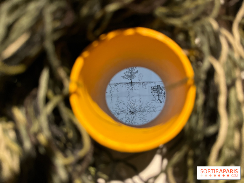 Le Chant des Forêts, l'exposition sensible et gratuite du Maif Social Club