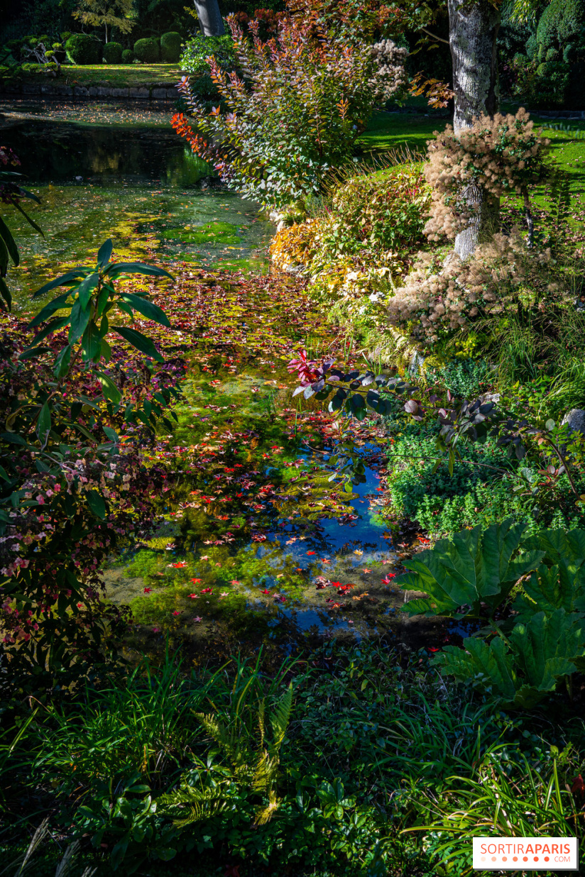 Le Jardin japonais du Château de Courances
