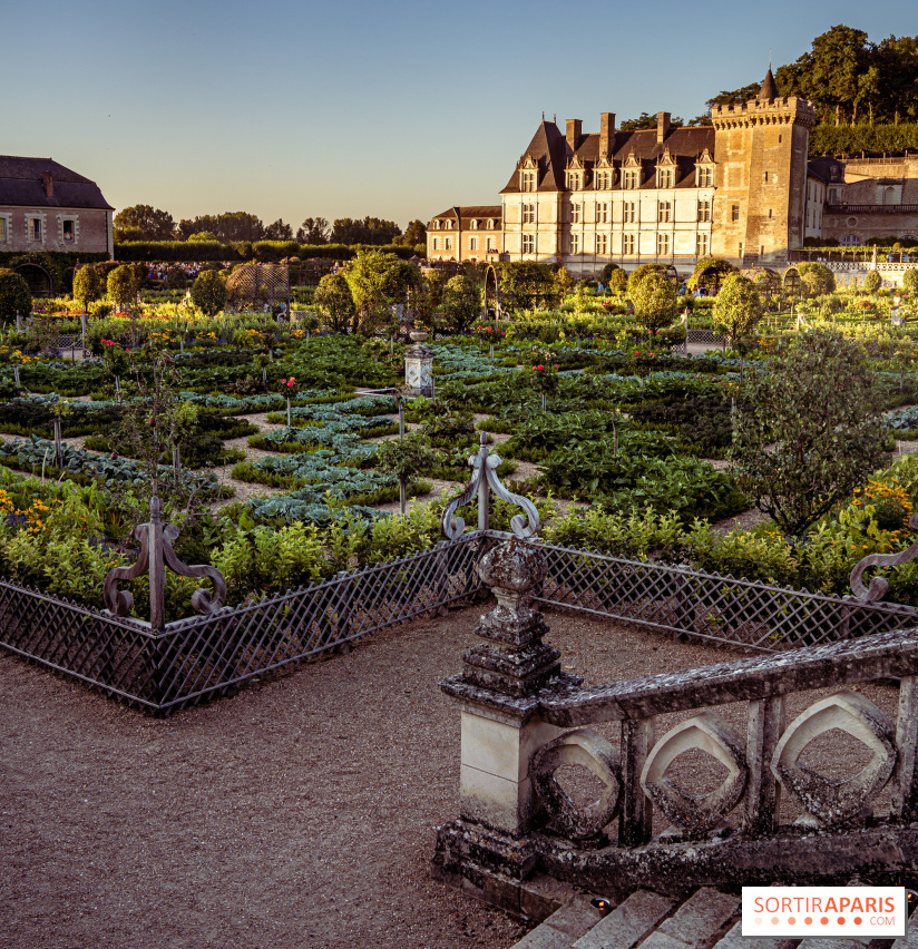 Le Château de Villandry et ses jardins