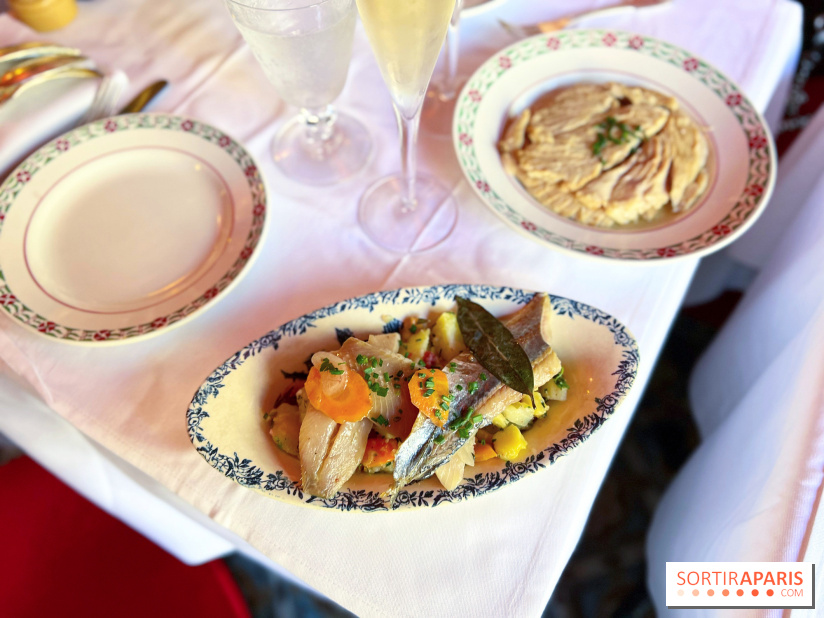 Restaurant Café Max - Hareng