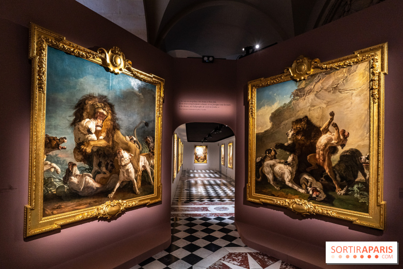 Exposition Louis XV au Château de Versailles - le roi chasseur - lion d'afrique - ours de Pologne - jean Jacques bachelier