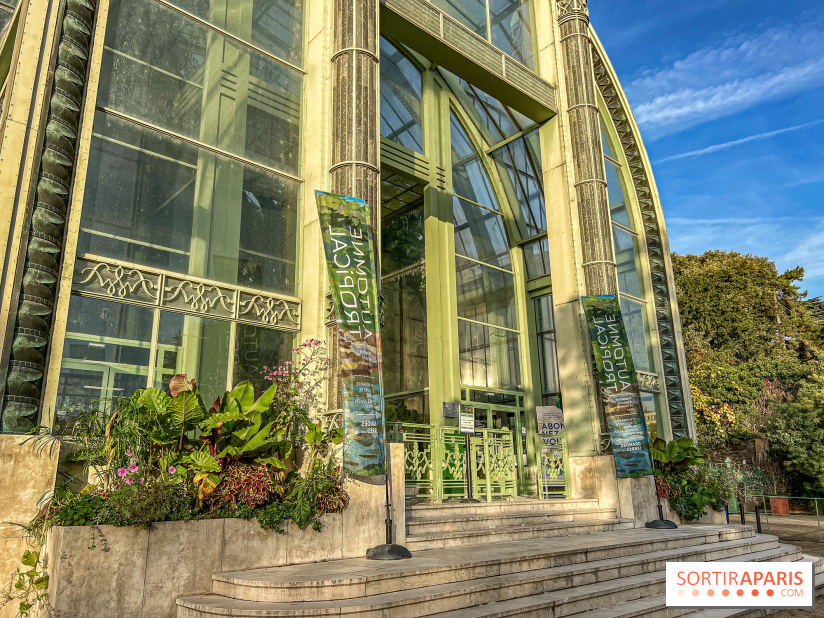 Automne tropical au Grandes Serres du Jardin des Plantes - Carnet de voyage en Guyane