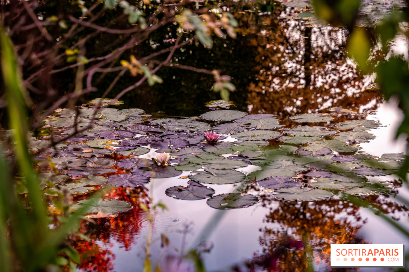 Les Jardins de la Maison Claude Monet à l'automne