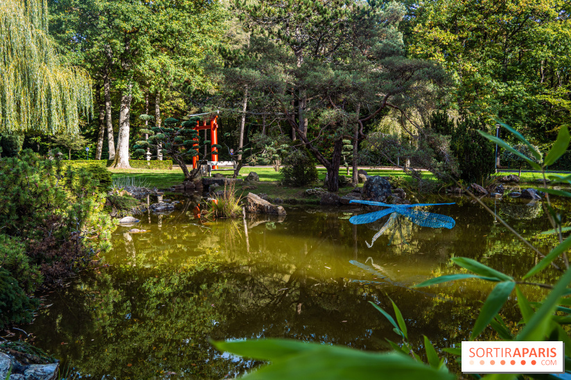 Le Jardin Japonais secret d'Aincourt