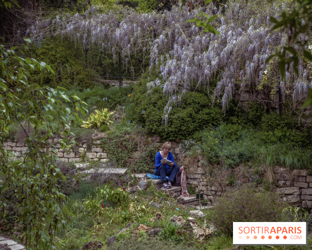 Le Jardin Alpin caché du Jardin des Plantes