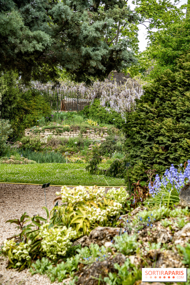 Le Jardin Alpin caché du Jardin des Plantes