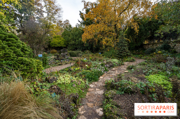 Le Jardin Alpin caché du Jardin des Plantes