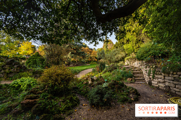 Le Jardin Alpin caché du Jardin des Plantes