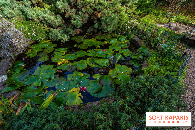 Le Jardin Alpin caché du Jardin des Plantes