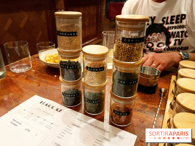 Atelier création de gin à la distillerie Baccae