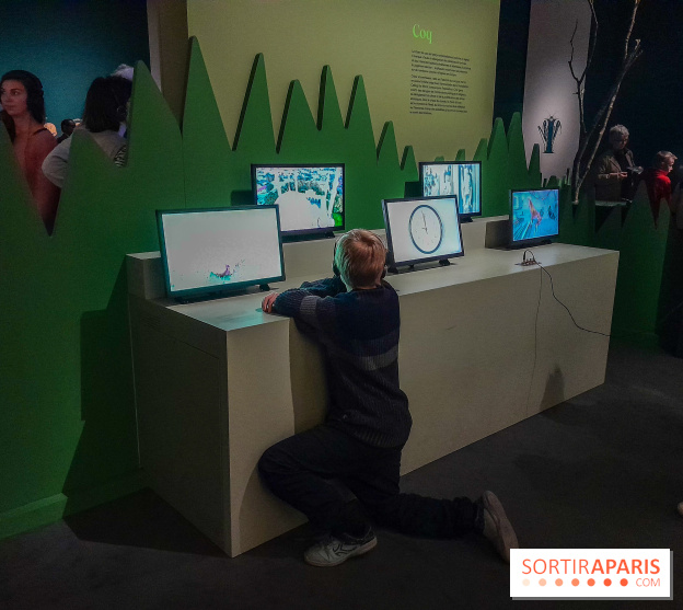 Musicanimale, l'exposition à la Philharmonie