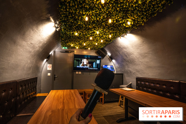 Dimdimsum Paris, le restaurant de vapeurs - karaoké