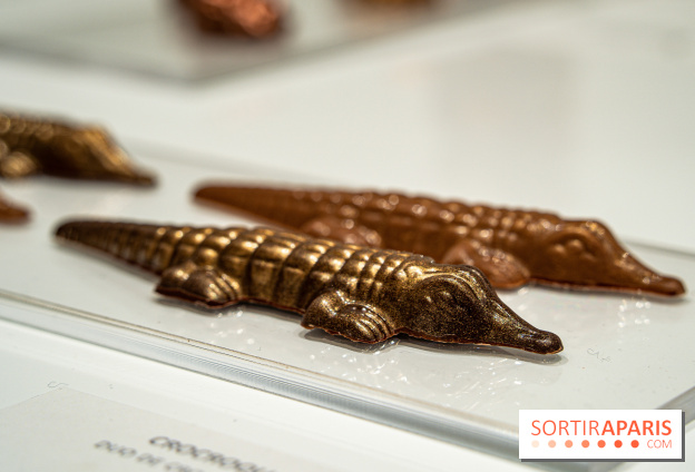 Jade Genin Chocolaterie Paris, les photos - crocodile praliné