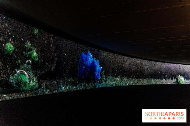 Exposition Avant l'orage à la Bourse de Commerce - Pinault Collection - urgence climatique