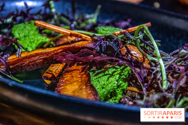 Restaurant Horizon Forbbiden West plat champignons