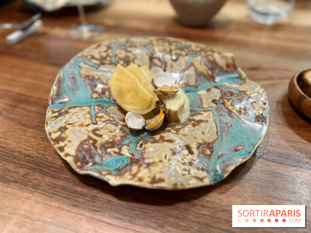 Accents Table Bourse - Bar et coques