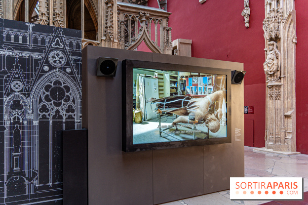 Exposition Notre-Dame de Paris - des bâtisseurs aux restaurateurs - Cité de l'Architecture - A7C2855