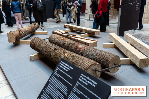 Exposition Notre-Dame de Paris - des bâtisseurs aux restaurateurs - Cité de l'Architecture - A7C2857