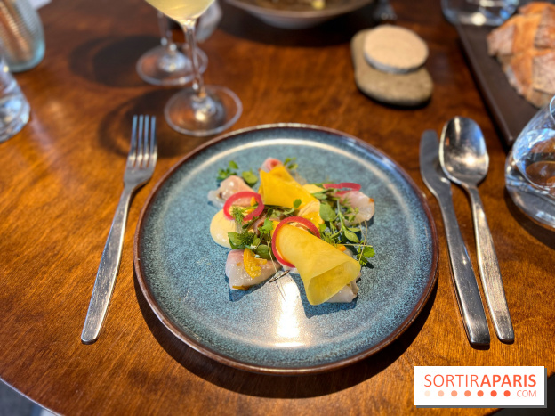 Perception - Sashimi daurade et tarama