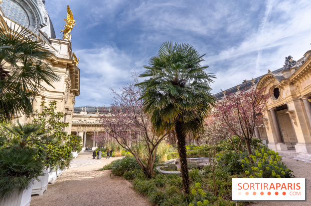 Petit Palais - Collection permanente  -  jardin