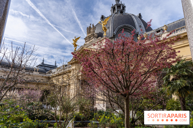 Petit Palais - Collection permanente  -  jardin
