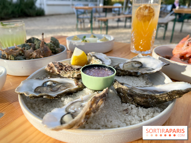 Le Chalet des Îles Daumesnil - le concept du Perchoir