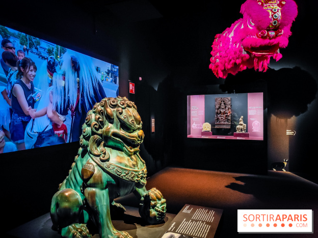 Félins, l'exposition qui nous fait craquer au Muséum national d'Histoire naturelle - photos - IMG20230321103938