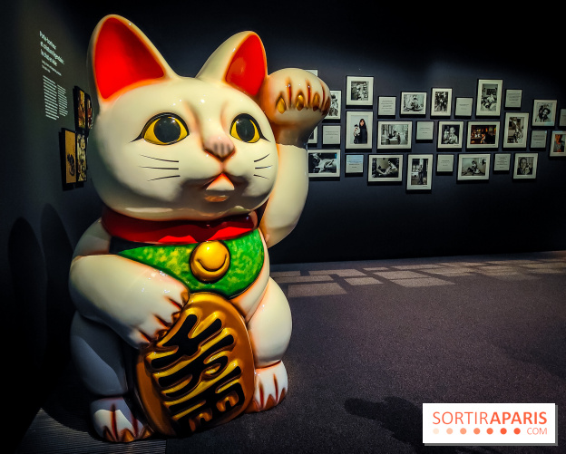 Félins, l'exposition qui nous fait craquer au Muséum national d'Histoire naturelle - photos