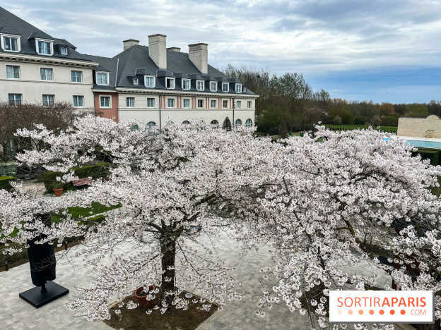 Dream Castle Hôtel, le 4**** familial à côté de Disneyland - DF1D65F8 045F 4FB6 916A B951B8CA8D26