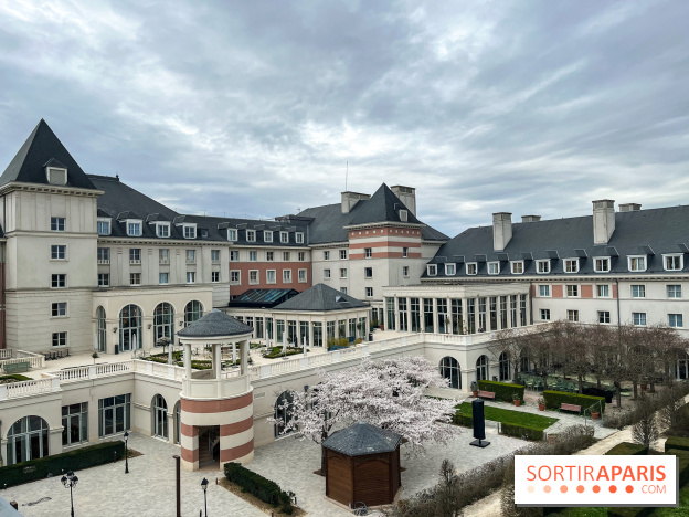 Dream Castle Hôtel, le 4**** familial à côté de Disneyland - 5346E49D 7A5D 4F5D 88B8 0BDA690743A4