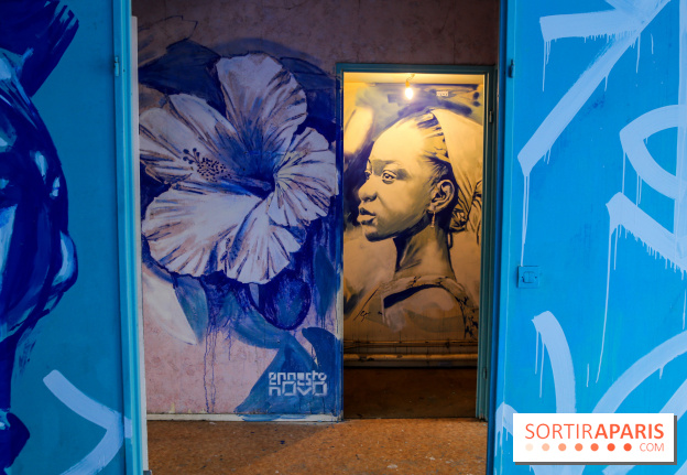 Festival Planète Périphérique à Paris, nos photos - 3 IMG 9635